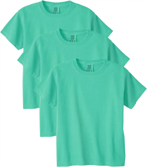 Comfort Colors Unisex-Child Ring Spun T-Shirt, 3-Pack, Style G9018
