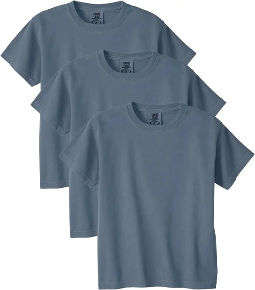 Comfort Colors Unisex-Child Ring Spun T-Shirt, 3-Pack, Style G9018