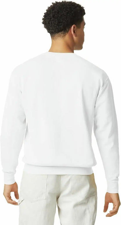 Comfort Colors Unisex Adult Lightweight Cotton Crewneck Sweatshirt, Style G1466